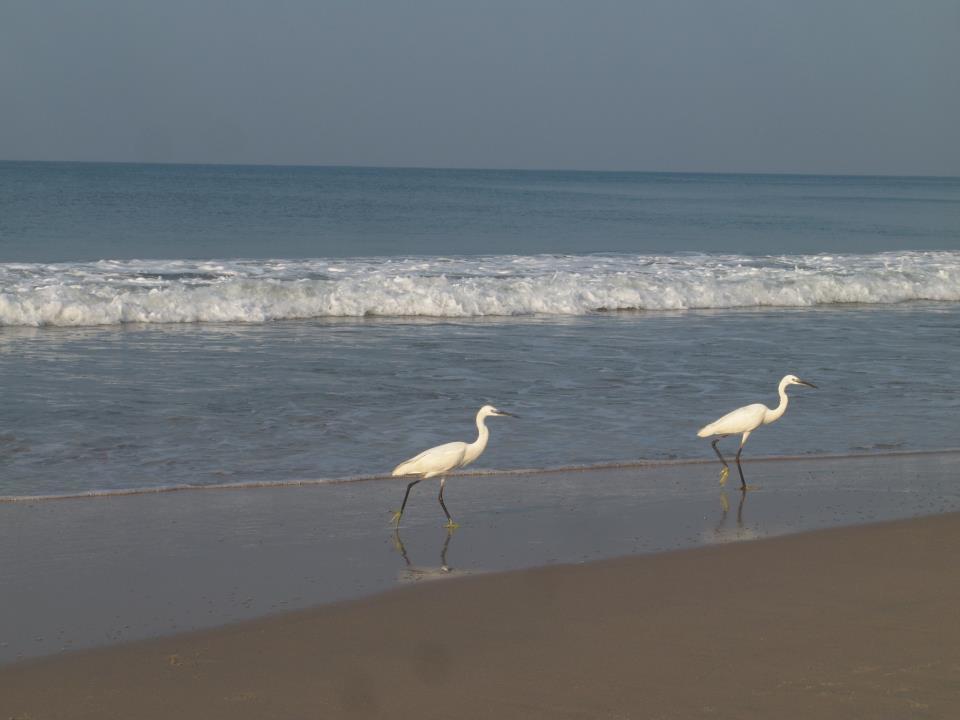 ורקלה Oceanic Beach Residency מראה חיצוני תמונה
